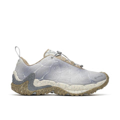 Pigeon/Cement